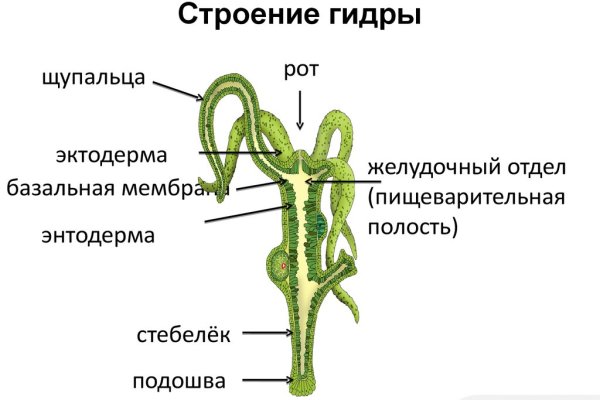 Купить гашиш через телеграм