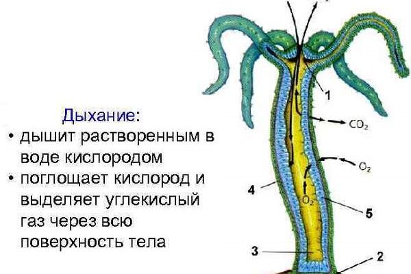 Рабочее зеркало mega market